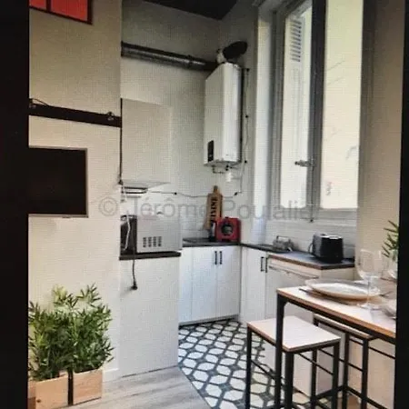 公寓 Duplex,centre Croix Rousse Avec Parking